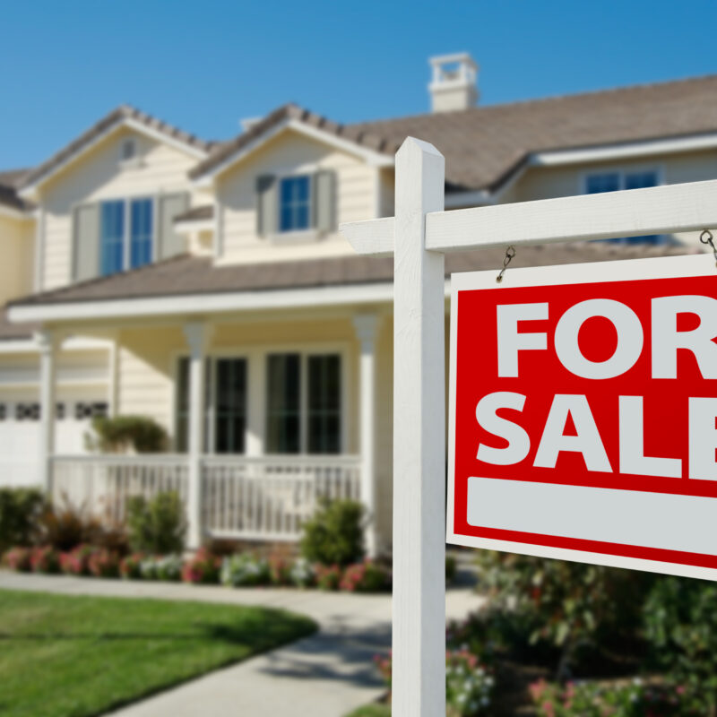 What types of houses are for sale in St Petersburg FL